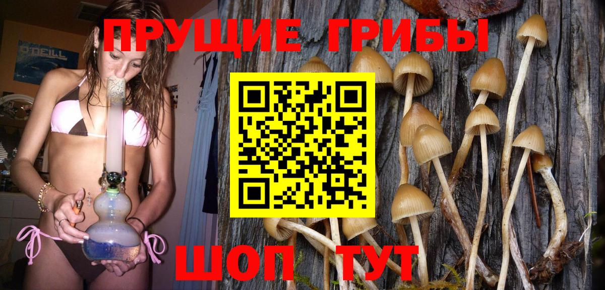 Псилоцибиновые грибы GOLDEN TEACHER  Вход с VPN  Новороссийск 