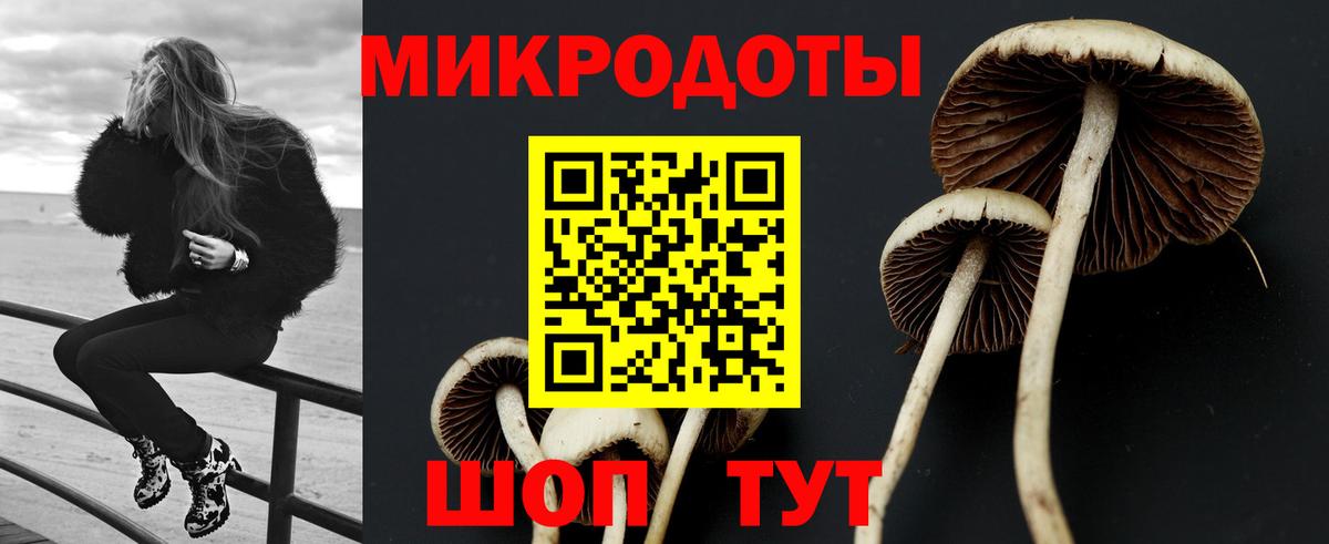 Псилоцибиновые грибы мухоморы Новороссийск